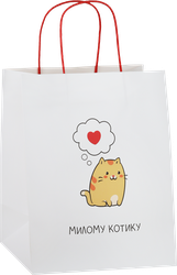 Изображение товара Подарочный пакет CITY HOME TRADE Men's Vibe 24x28x14см бумажный