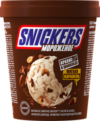 Изображение товара Мороженое SNICKERS Сливочное с пастой из арахиса, арахисом в шоколаде, карамелью и какаосодержащей прослойкой 8,5%, без змж, пластиковый стакан, 288г