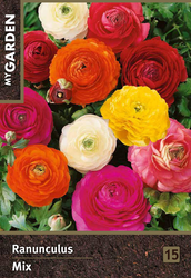 Изображение товара Луковицы MY GARDEN Лютик, микс, 15шт