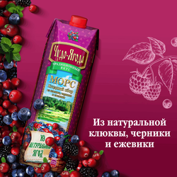 Морс ЧУДО-ЯГОДА Ягодный сбор Клюква, черника и ежевика, голубика, 0.97л