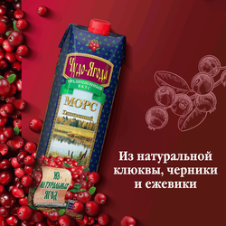 Морс ЧУДО-ЯГОДА Клюквенный, 0.97л