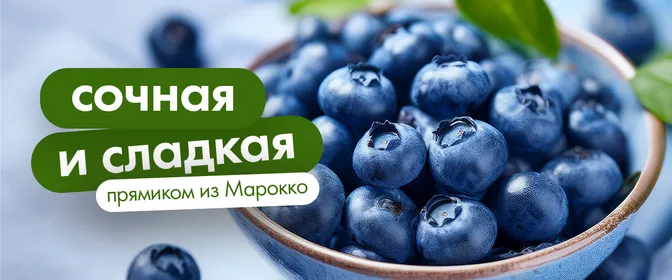 Сезон голубики