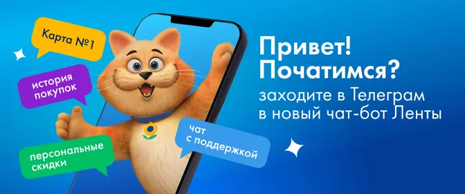Чат бот 11.06.