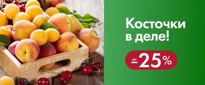 Сезон косточковых фруктов