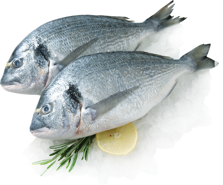 Дорадо ЛЕНТА FRESH 300–600г, весовая