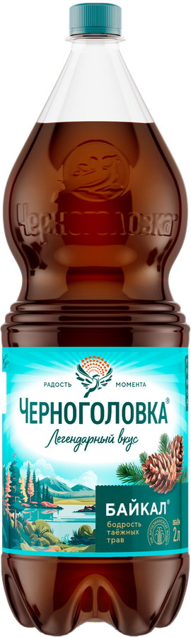 Напиток ЧЕРНОГОЛОВКА Байкал сильногазированный, 2л