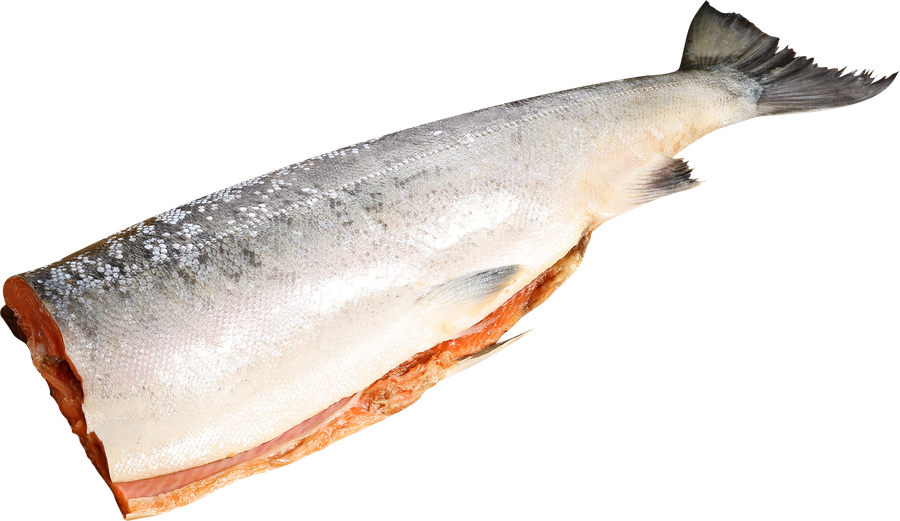 Кета ЛЕНТА FRESH потрошеная без головы (из замороженного сырья), весовая
