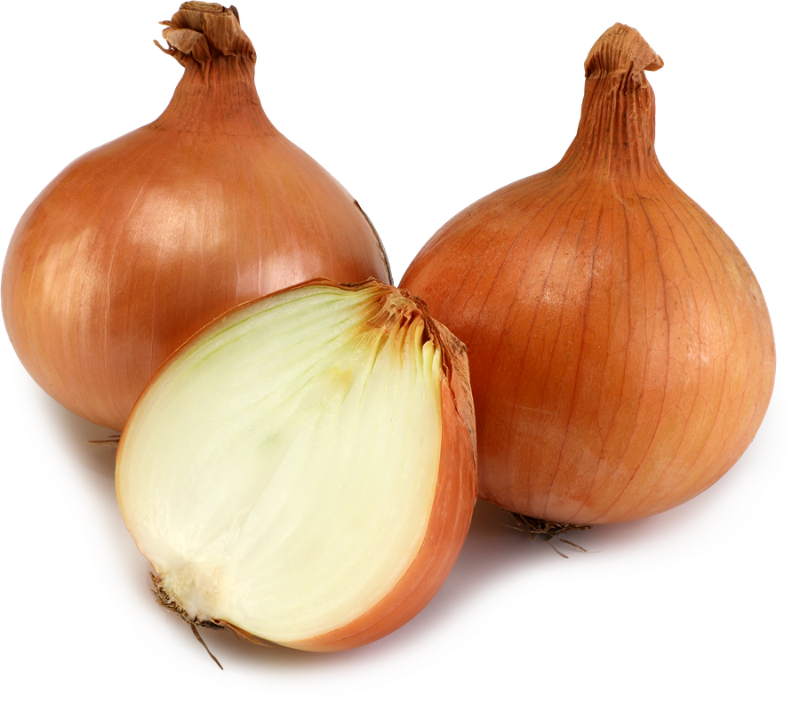 Лук репчатый свежий