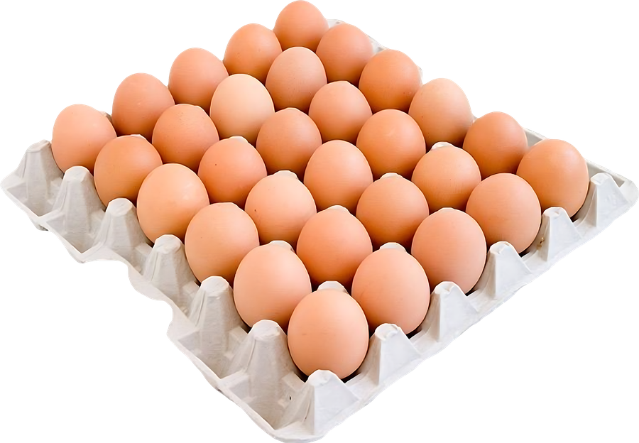 ЯйцокуриноеПФХАРАБАЛИНСКАЯОтборноеСО,30шт