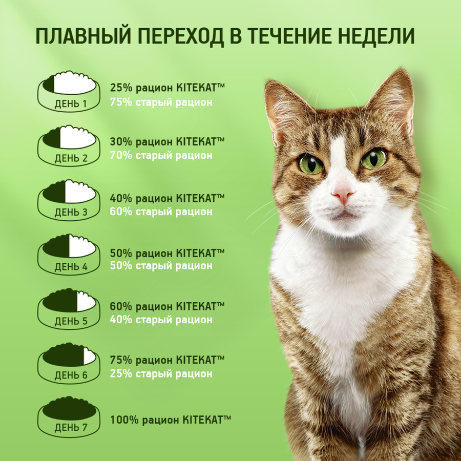 Корм сухой для кошек KITEKAT Мясной пир, 1,9кг, предпросмотр