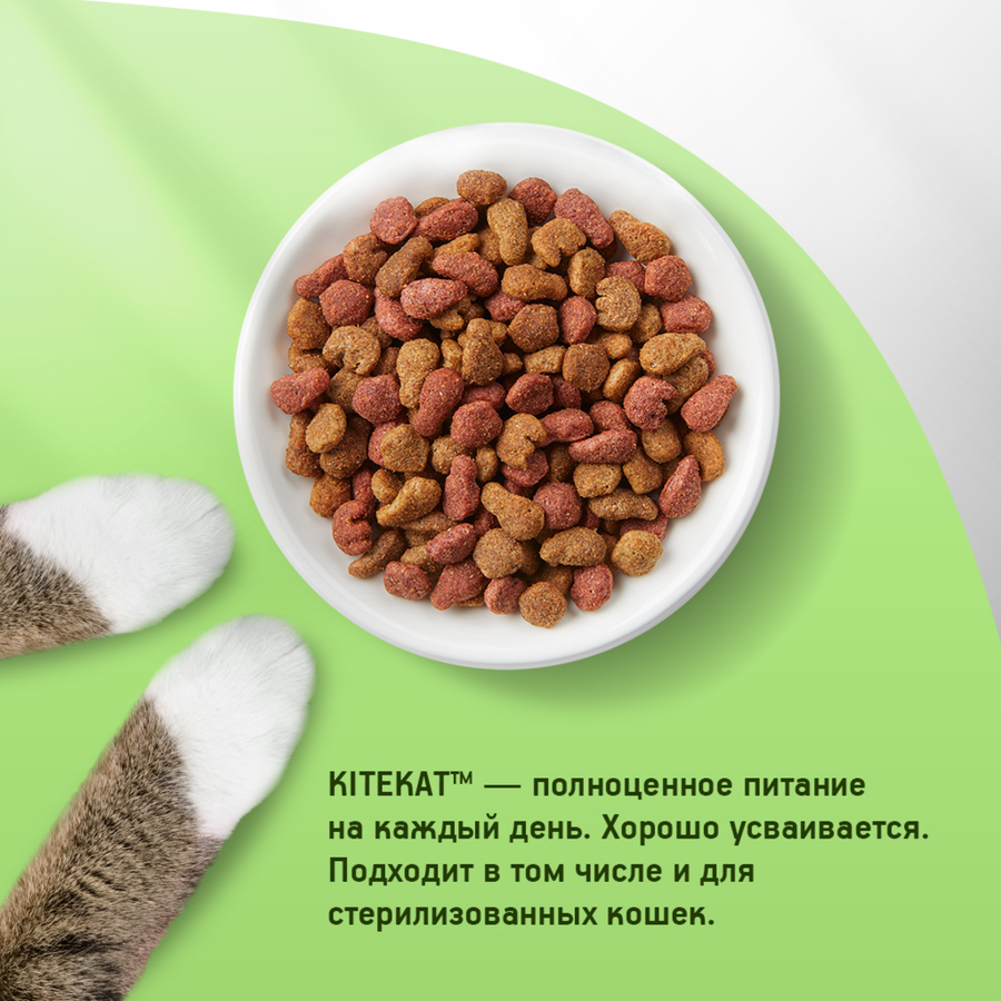 Корм сухой для кошек KITEKAT Мясной пир, 1,9кг, предпросмотр