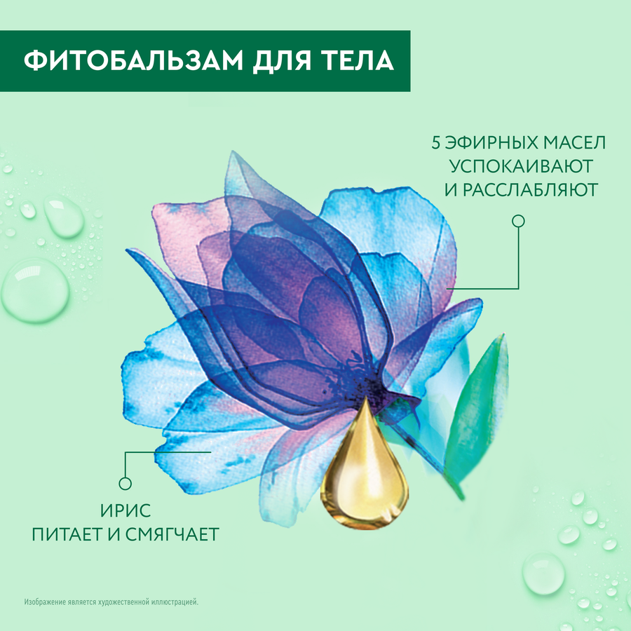 Фитобальзам для тела ЧИСТАЯ ЛИНИЯ Повышающий упругость, 200мл, превью