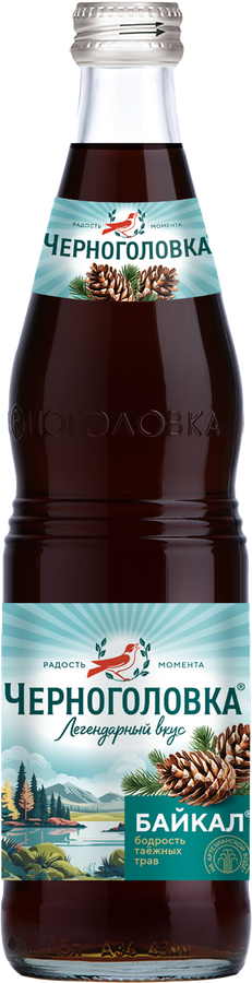 Напиток ЧЕРНОГОЛОВКА Байкал сильногазированный, 0.5л