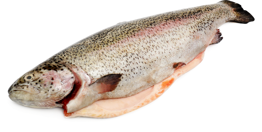 Форель Радужная ЛЕНТА FRESH потрошеная с головой 1–2кг, охлажденная, весовая, превью