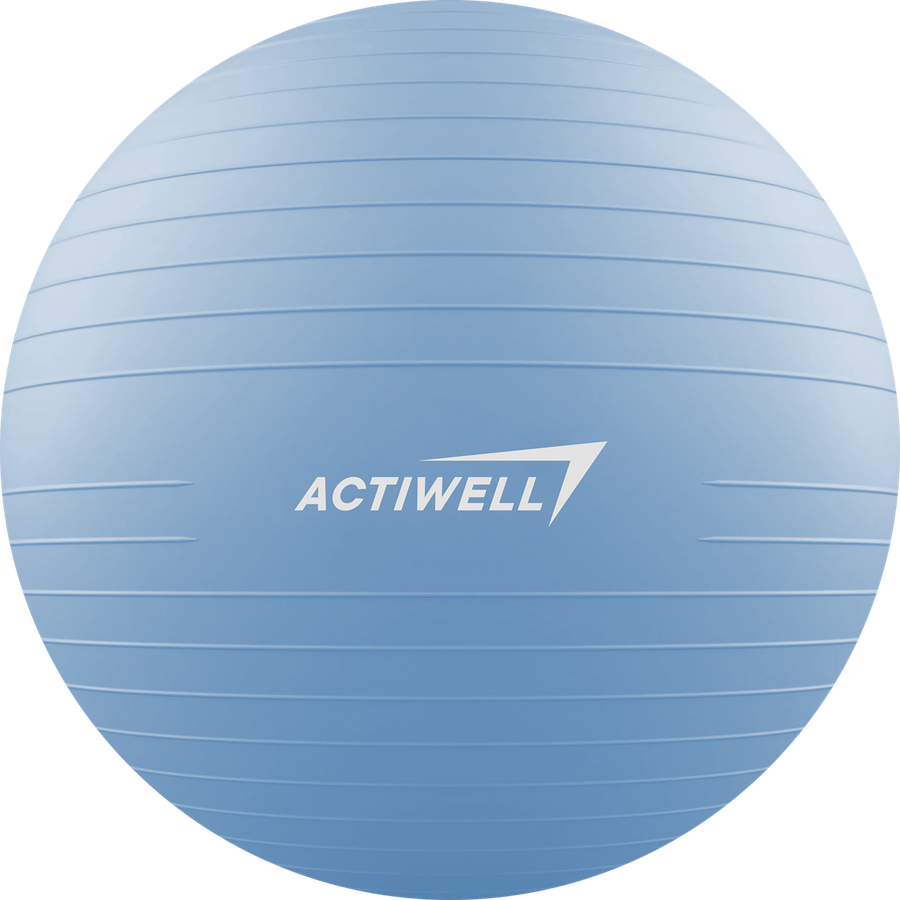 Мяч гимнастический ACTIWELL d=65см, с насосом, Арт. IR97403