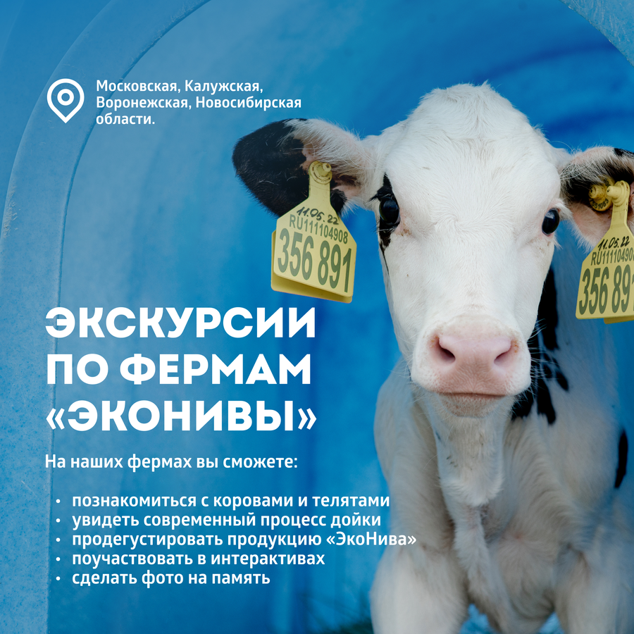 Молоко ультрапастеризованное ЭКОНИВА 3,2%, без змж, 1000мл, предпросмотр