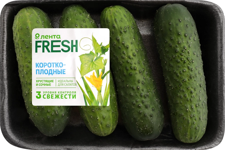 Огурцы короткоплодные ЛЕНТА FRESH колючие, 450г