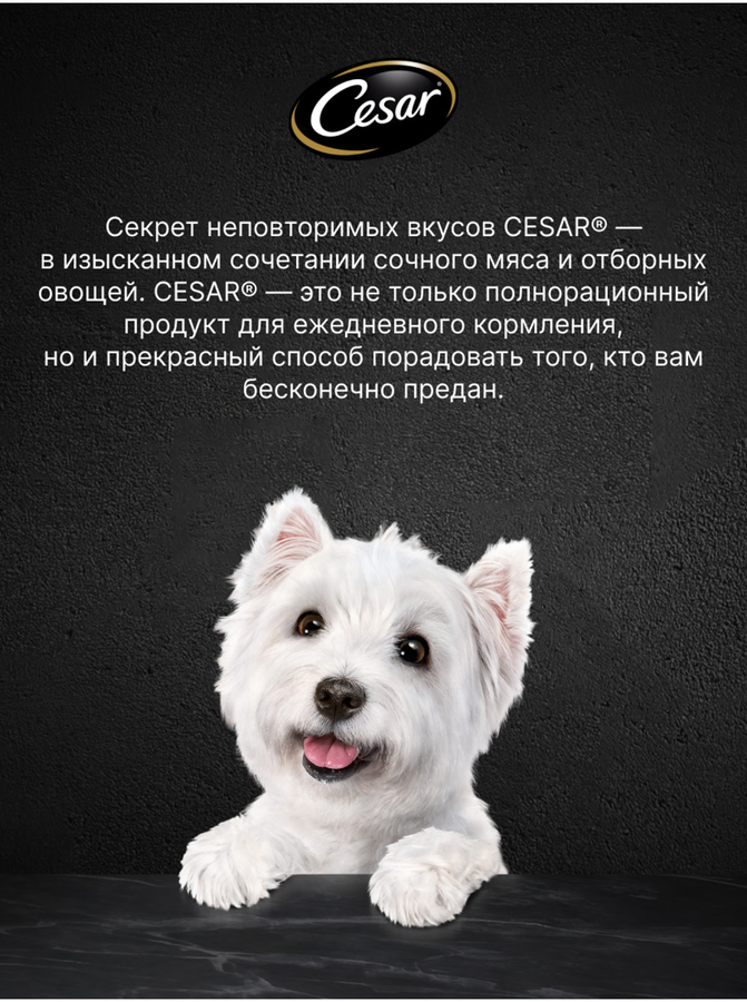 Корм влажный для взрослых собак CESAR с курицей и зелеными овощами в соусе, 85г, превью