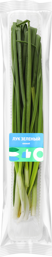 Лук зеленый ЛЕНТА свежий, 100г, превью