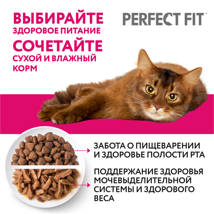 Корм консервированный для взрослых кошек PERFECT FIT Sensitive с индейкой в соусе, для чувствительного пищеварения, 75г, предпросмотр