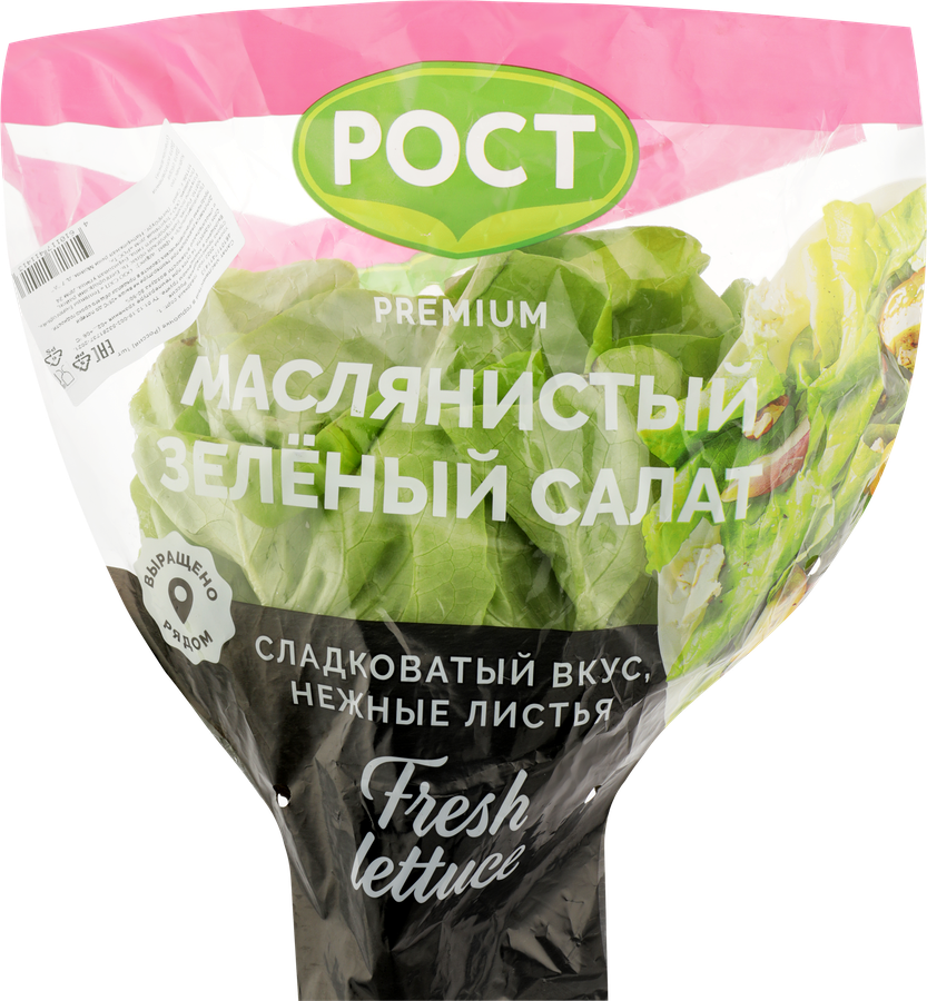 Салат Маслянистый, в горшочке, предпросмотр