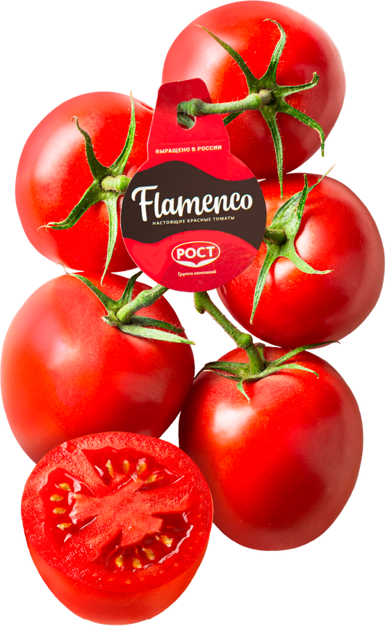 ТоматысливовидныекрасныеФЛАМЕНКОнаветке,весовые