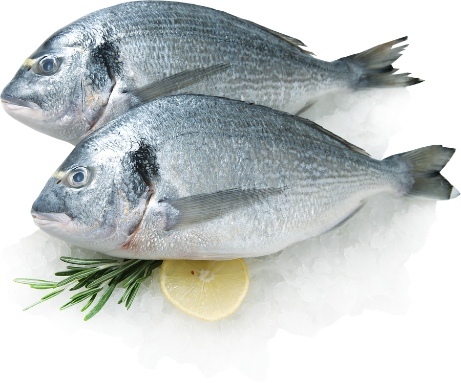 Дорадо свежемороженая ЛЕНТА FRESH неразделанная с головой 300–600г, 
весовая