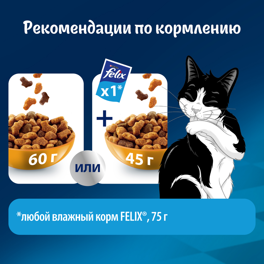 Корм сухой для кошек FELIX Мясное объедение с курицей, 10кг, превью