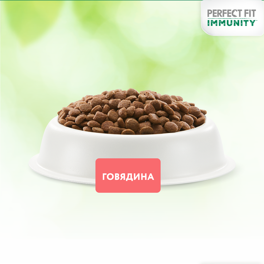 Корм сухой для кошек PERFECT FIT Immunity Говядина, семяна льна, голубика, 580г, превью
