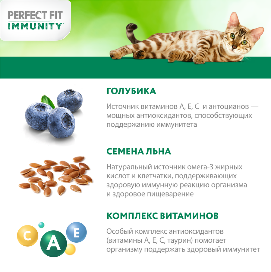 Корм сухой для кошек PERFECT FIT Immunity Говядина, семяна льна, голубика, 580г, предпросмотр