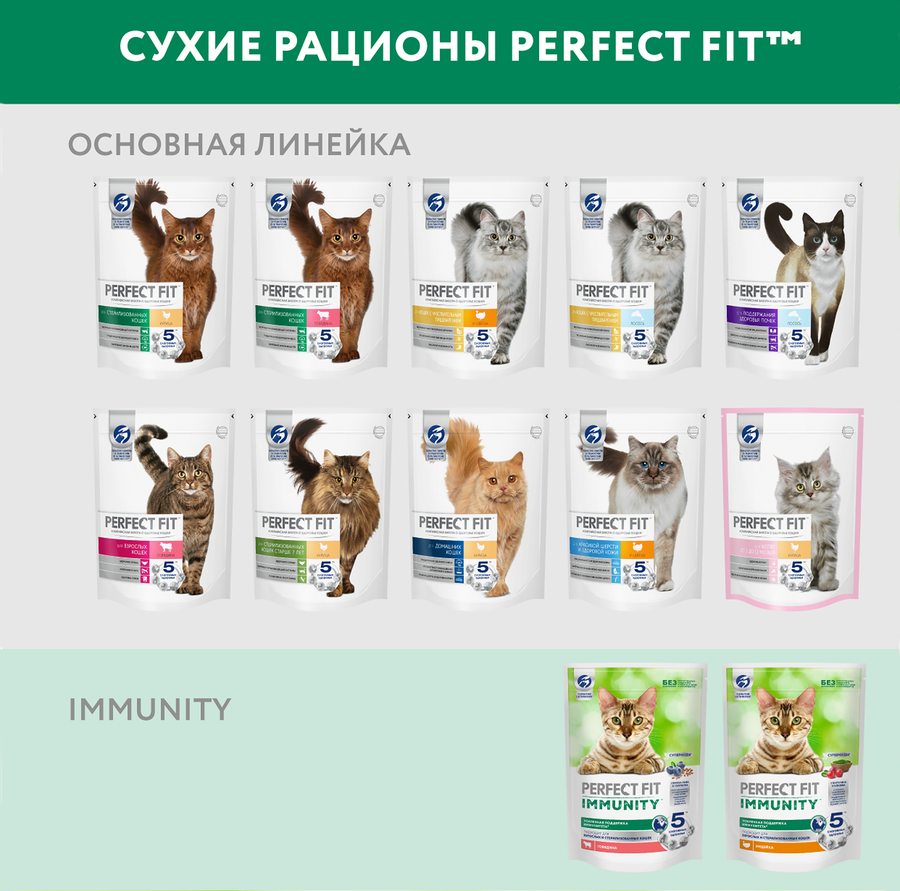 Корм сухой для кошек PERFECT FIT Immunity Говядина, семяна льна, голубика, 580г, предпросмотр