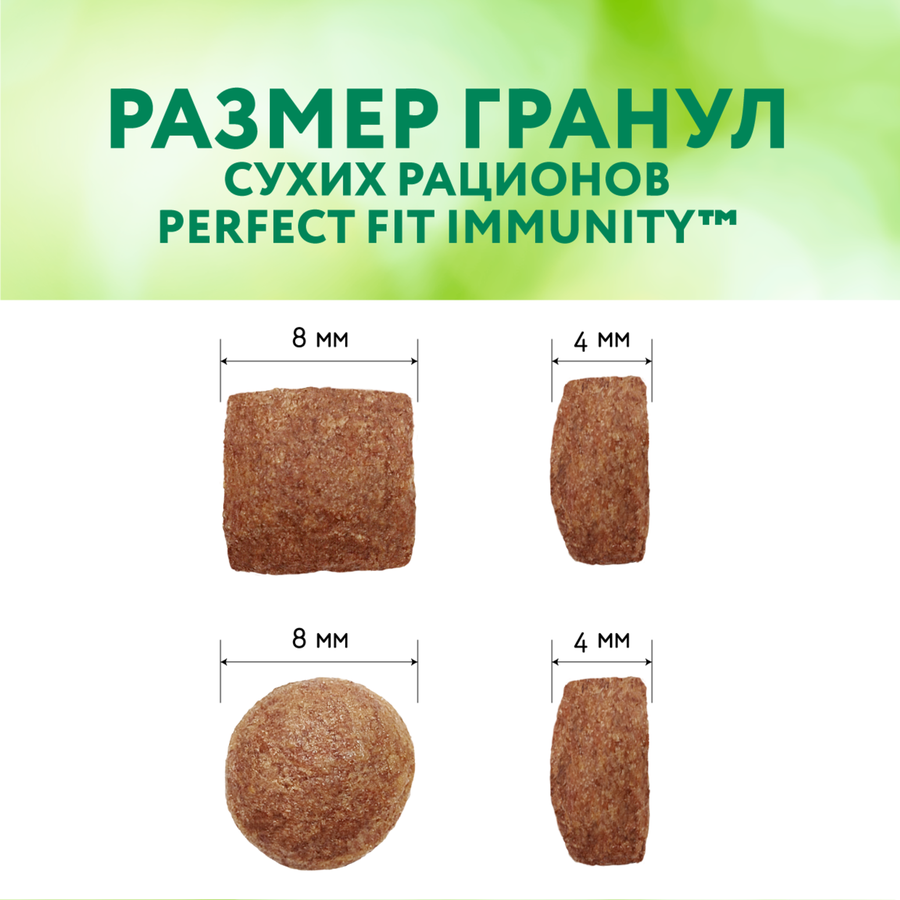 Корм сухой для взрослых кошек PERFECT FIT Иммунитет с говядиной и добавлением семян льна и голубики, 1,1кг, предпросмотр