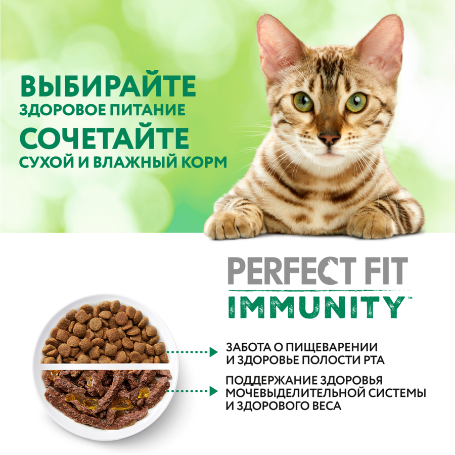 Корм сухой для взрослых кошек PERFECT FIT Иммунитет с говядиной и добавлением семян льна и голубики, 1,1кг, превью