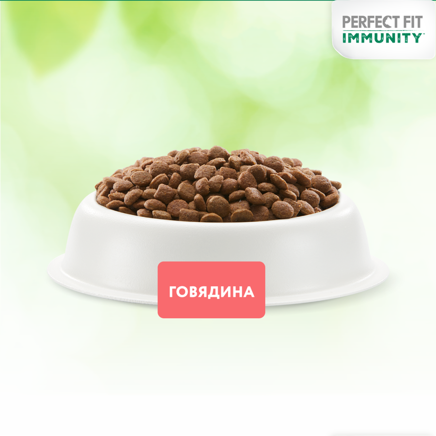 Корм сухой для взрослых кошек PERFECT FIT Иммунитет с говядиной и добавлением семян льна и голубики, 1,1кг, превью