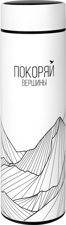 Термос ACTIWELL 500мл, с двойными стенками и температурным дисплеем, Арт WL003-1, предпросмотр