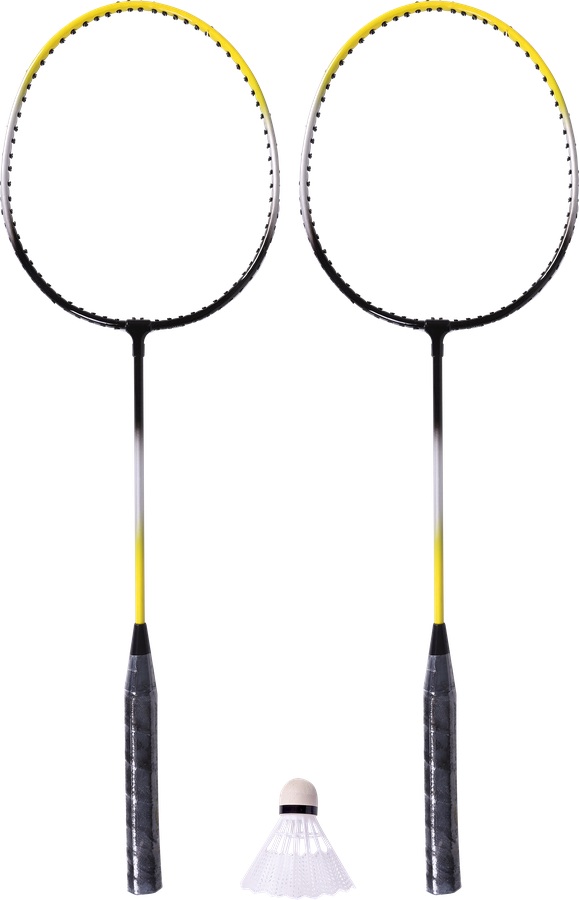 Набор для игры в бадминтон ACTIWELL в чехле, Арт. GV8816-16