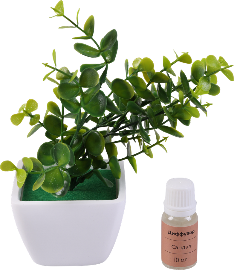 Набор ароматический HOMECLUB Aroma Tree, Арт. SA-24011