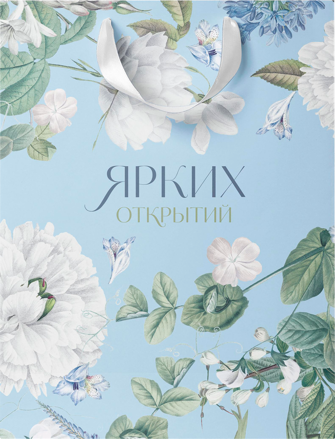 Пакет подарочный ПАКЕТИКО Blue bird, 14,6х11,4х6,4см, Арт. S, превью