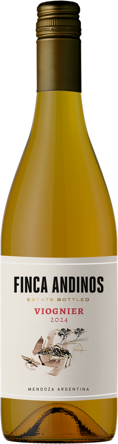 Вино ZANETTI Пино Гриджио ординарное сортовое белое сухое, 0.75л