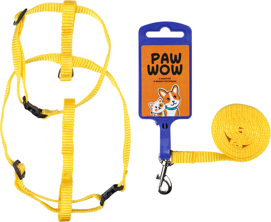 Комплект PAW WOW для собак поводок и шлейка 10мм