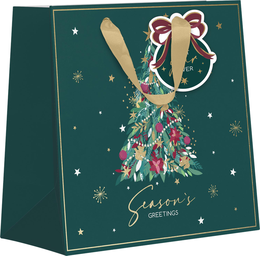 Пакет подарочный CITY HOME TRADE X-Mas Academy 15х14х6см, превью