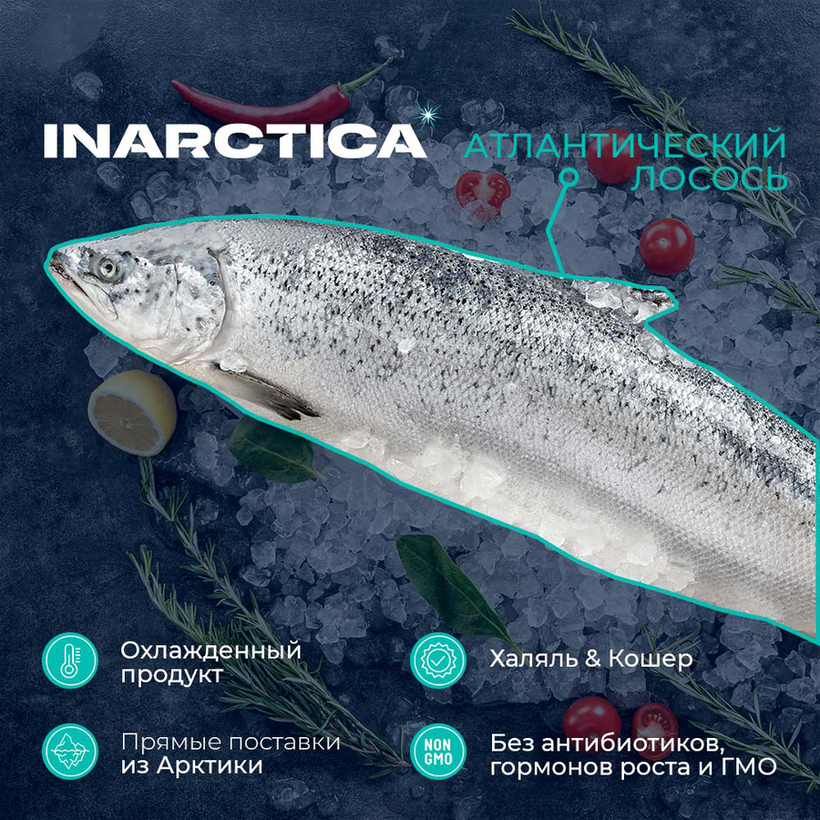Лосось ЛЕНТА FRESH с головой 3–8кг, весовой, превью