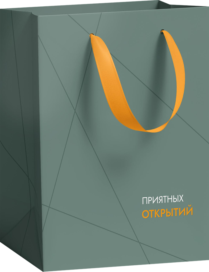 Пакет подарочный CITY HOME TRADE Special Men 22,7х18х10см, 1шт, предпросмотр